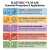 Infografika ELASTOSIL FX 20 A/B (EN) – mieszanie 1:1, rozformowanie 45 min, Shore A 20; efekty specjalne, protetyka i formy